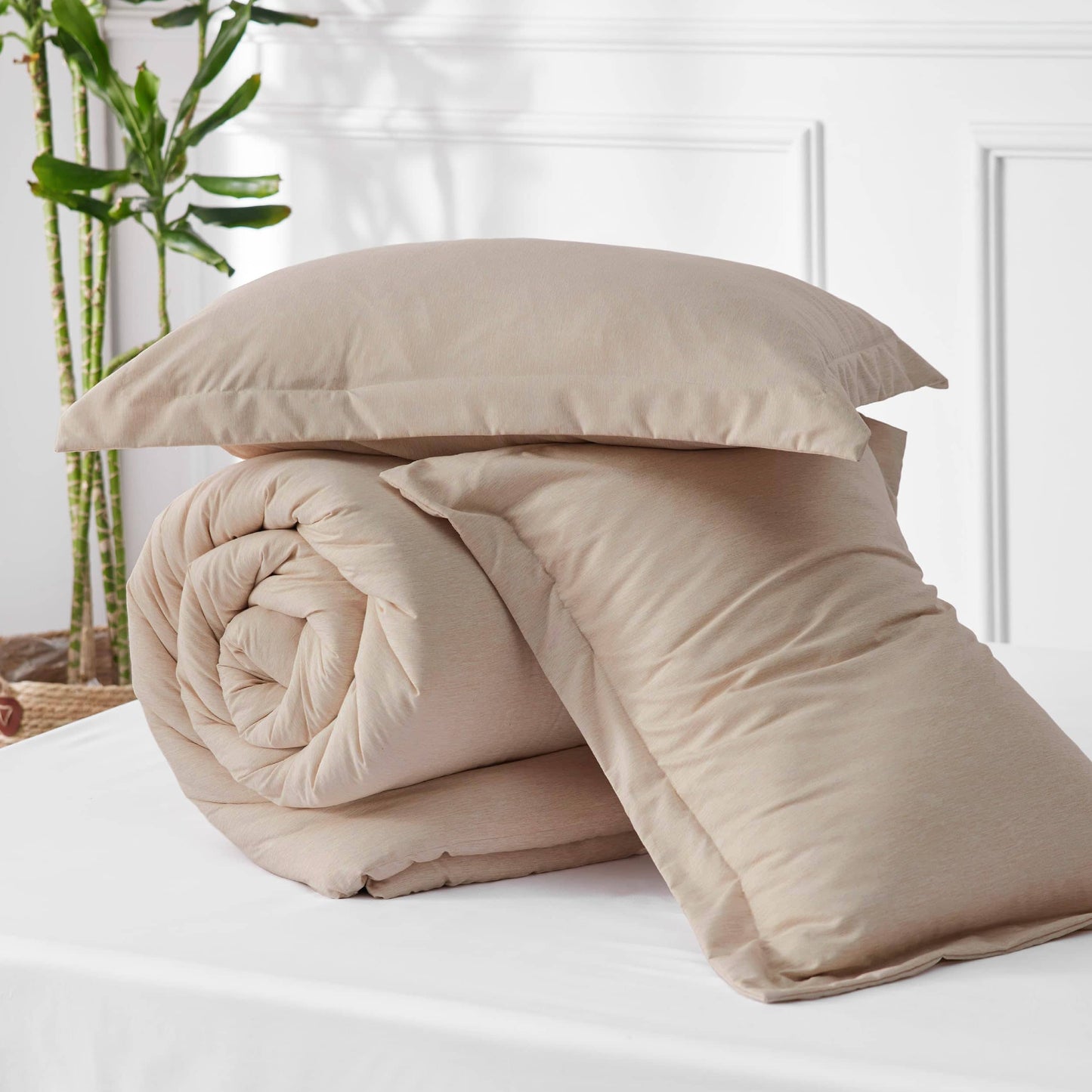GentleSoft Cationic Dye Comforter Set