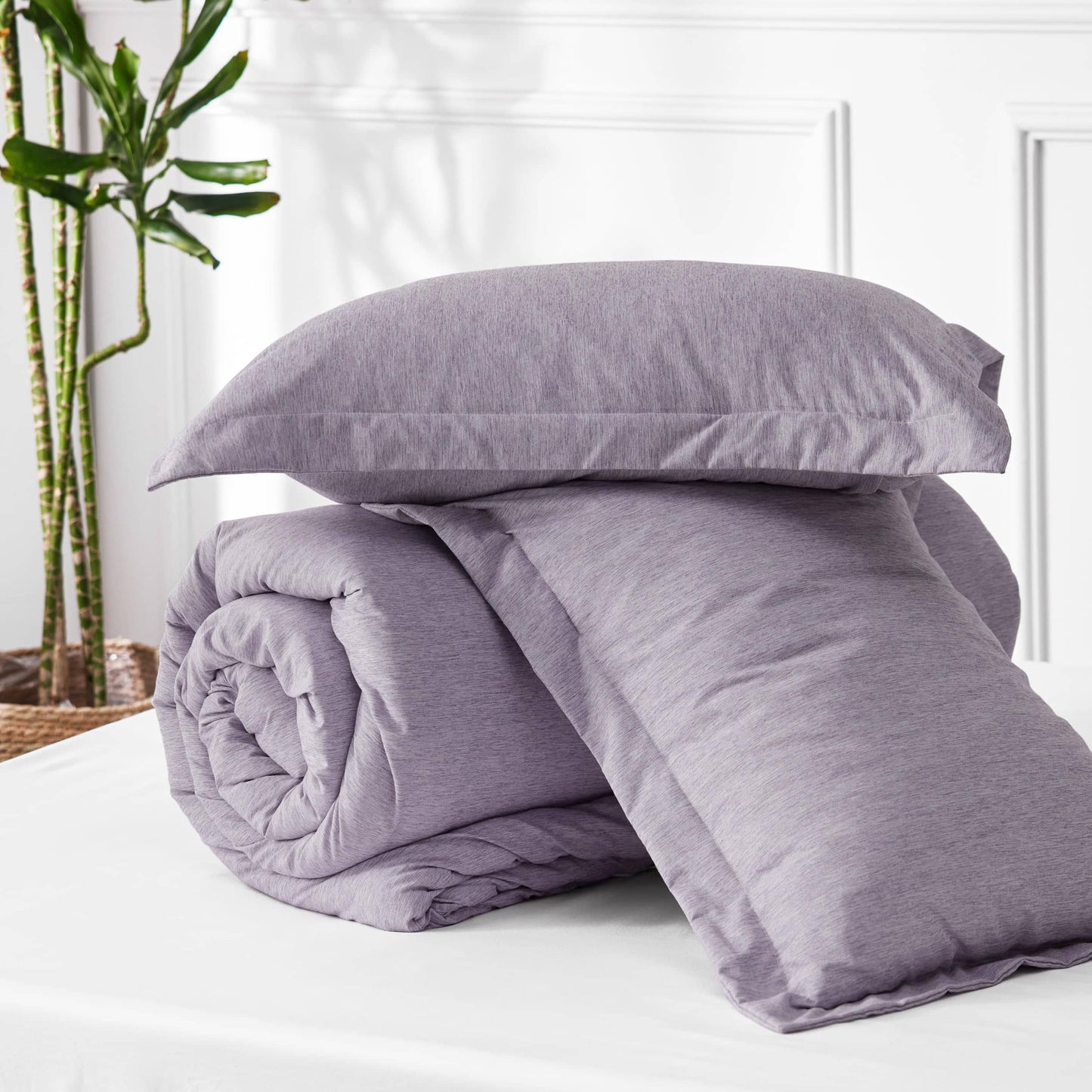 GentleSoft Cationic Dye Comforter Set