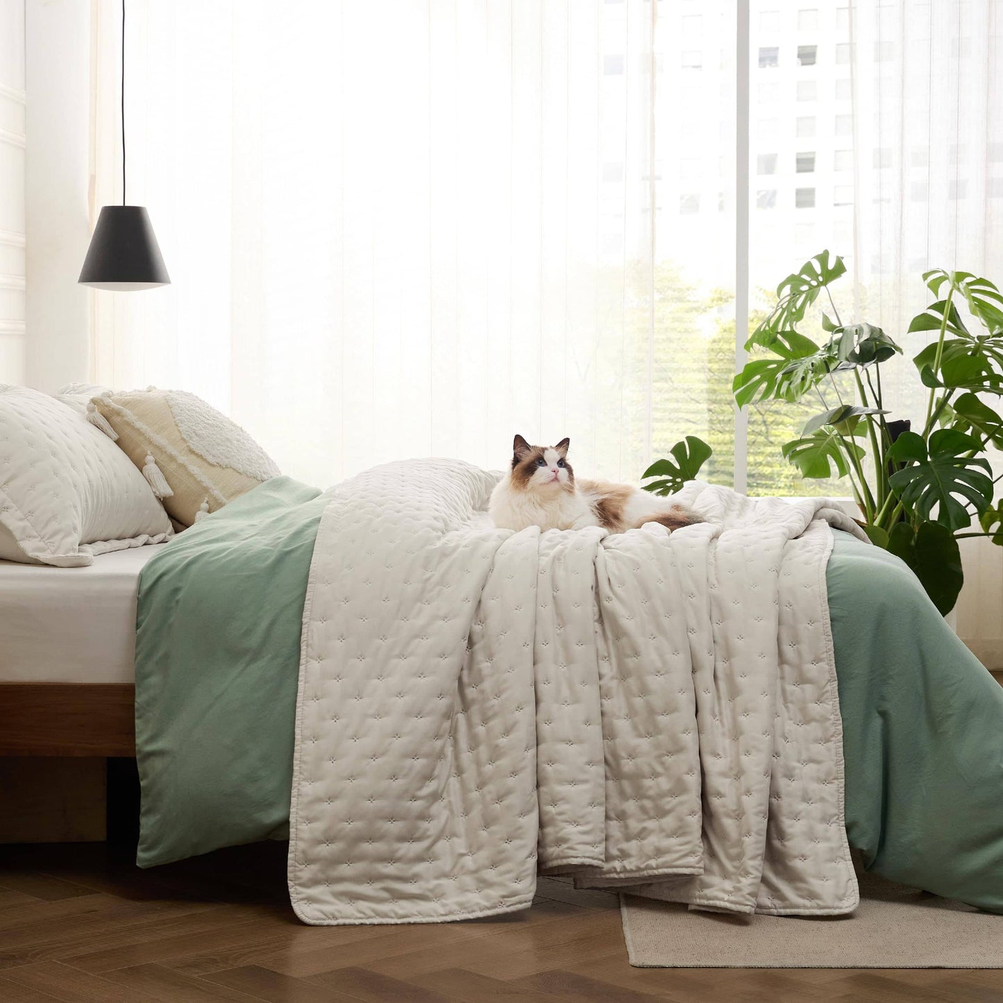 Clover Ultrasonic Quilt Set