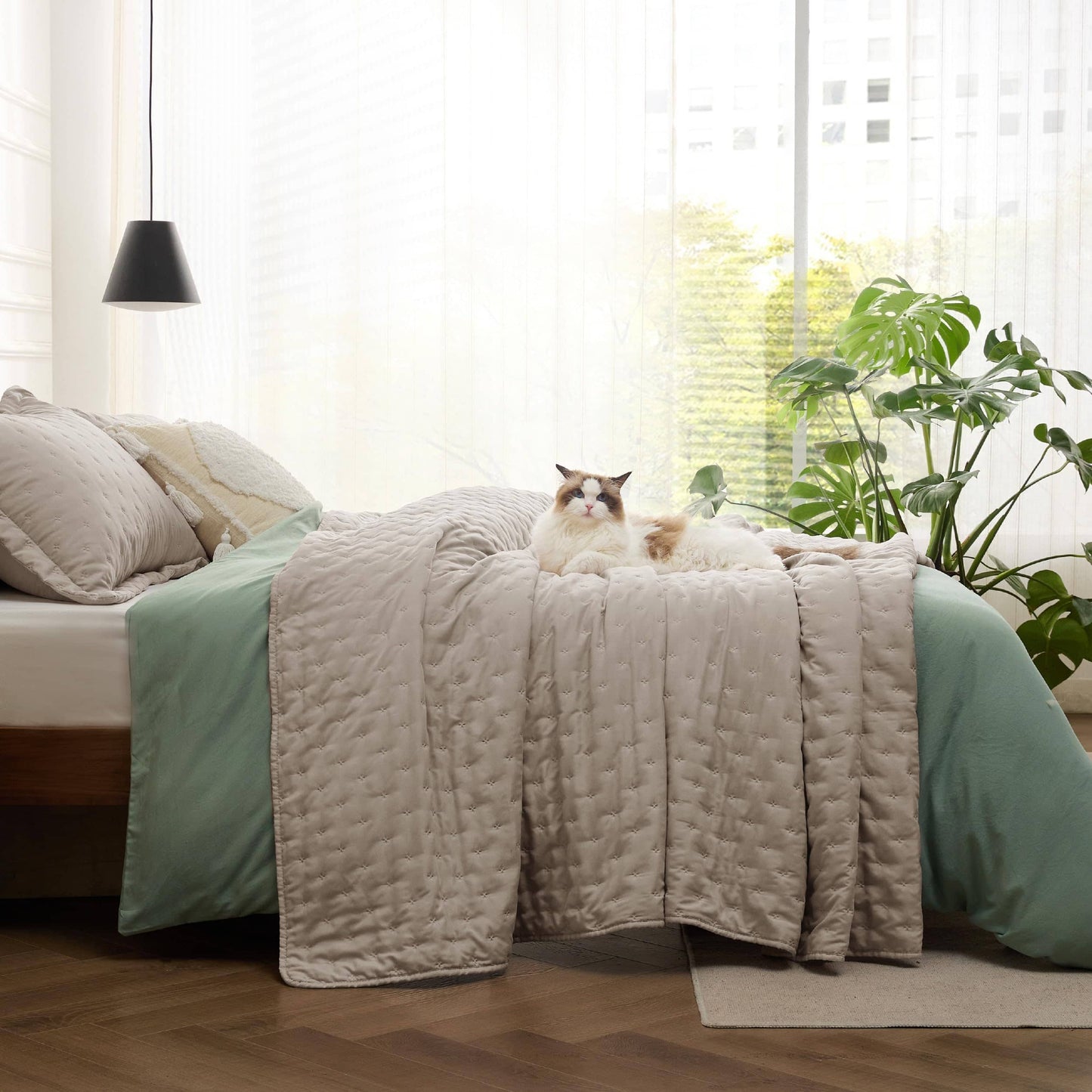 Clover Ultrasonic Quilt Set