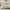 100% Cotton Patterned Duvet Cover Set