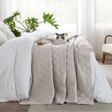 Prewashed Microfiber Quilt Set