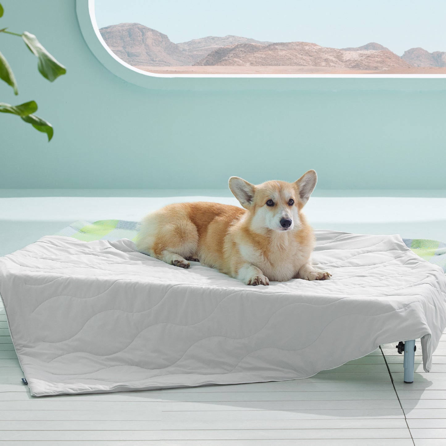 Textured Pet Cooling Blanket