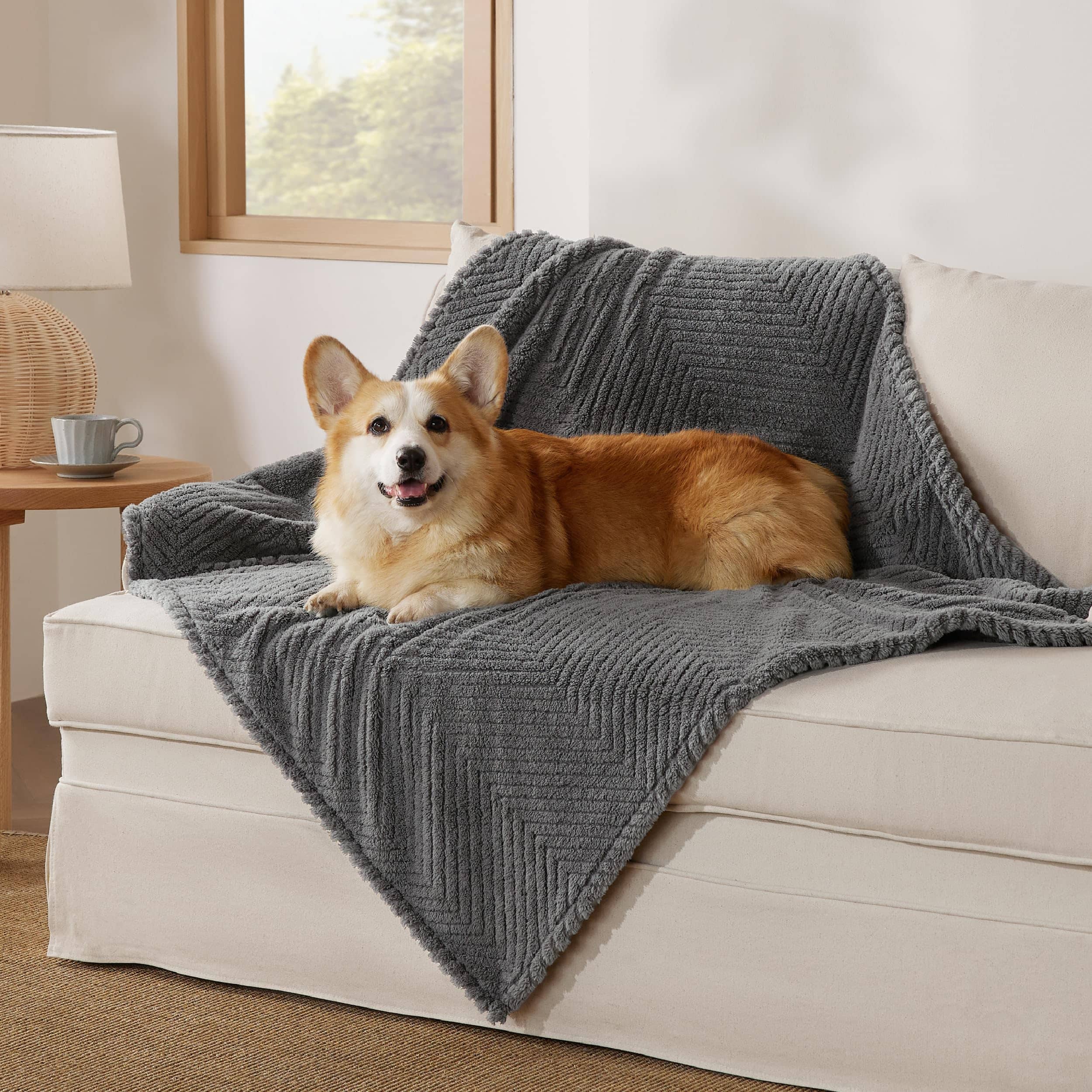 pet blanket