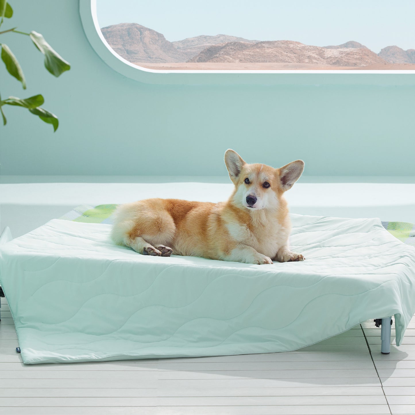 Textured Pet Cooling Blanket