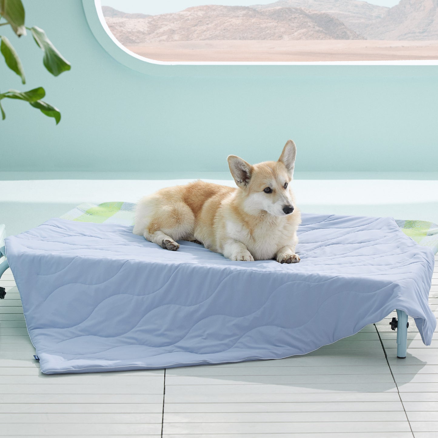 Textured Pet Cooling Blanket