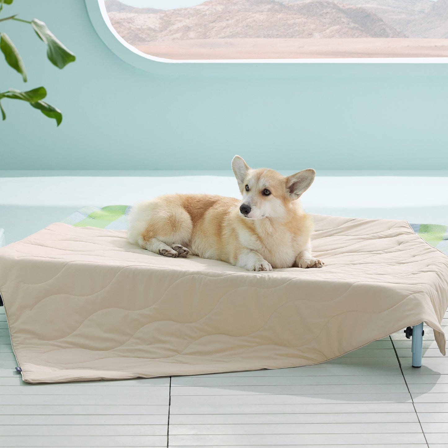 Textured Pet Cooling Blanket