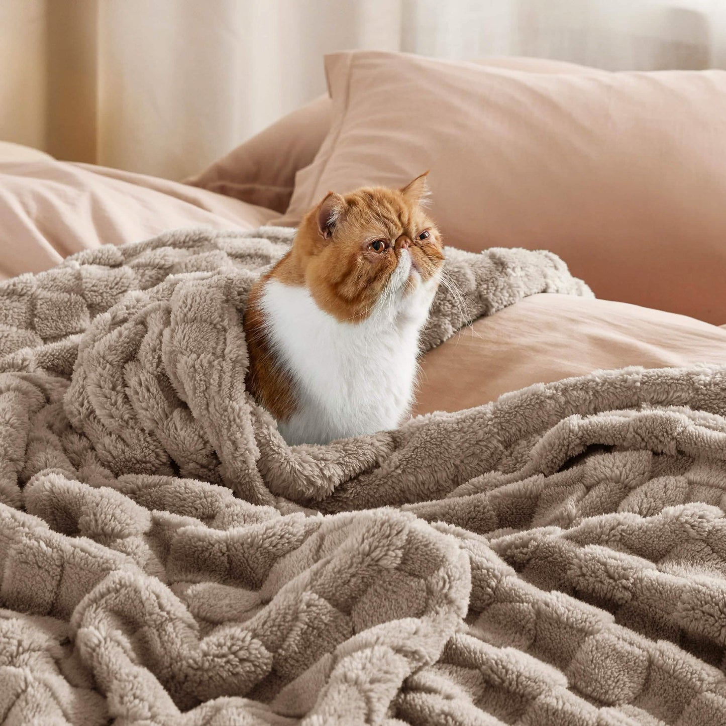 Jacquard Shaggy Sherpa Blanket