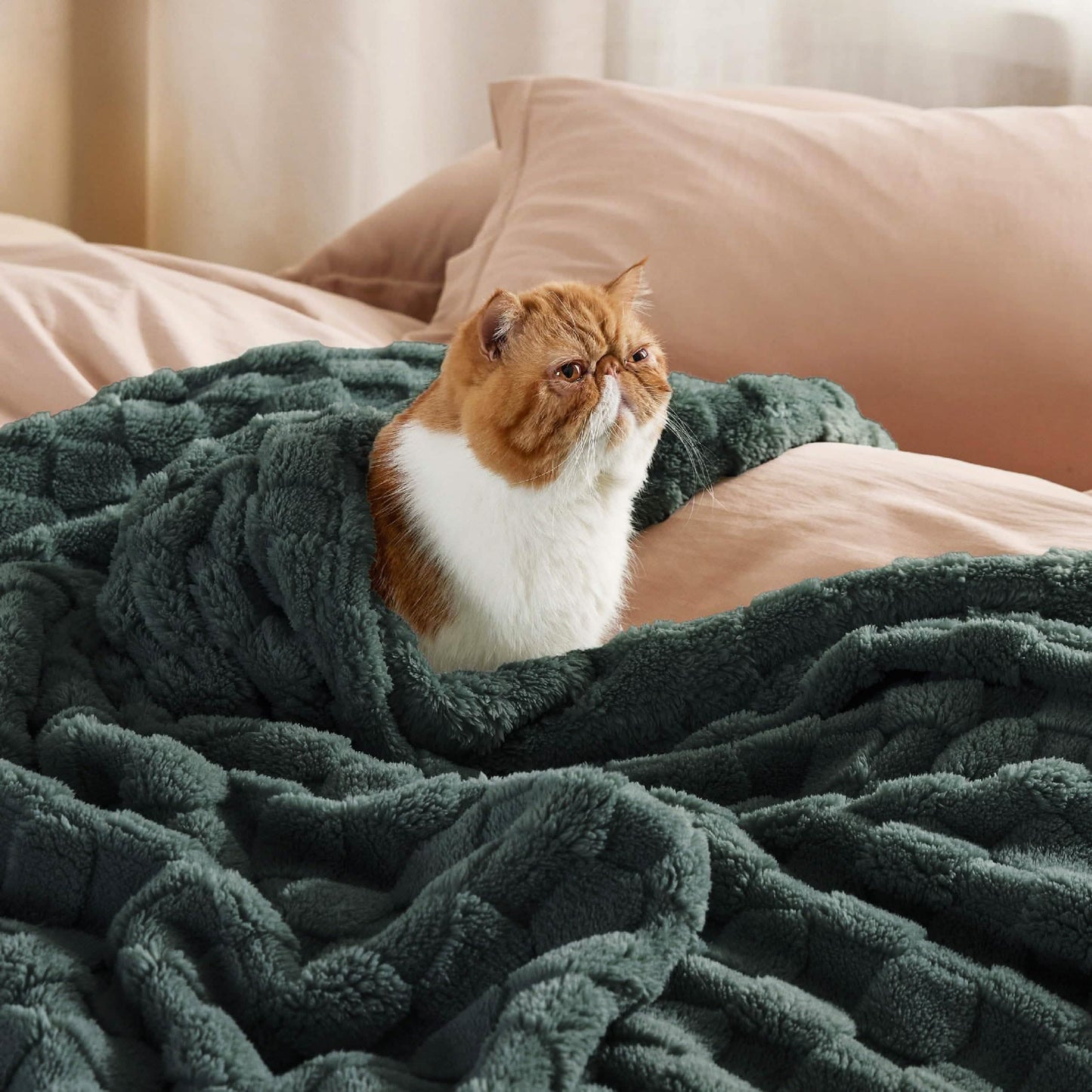 Jacquard Shaggy Sherpa Blanket