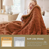 Bedsure Sherpa Throw Blanket For Couch