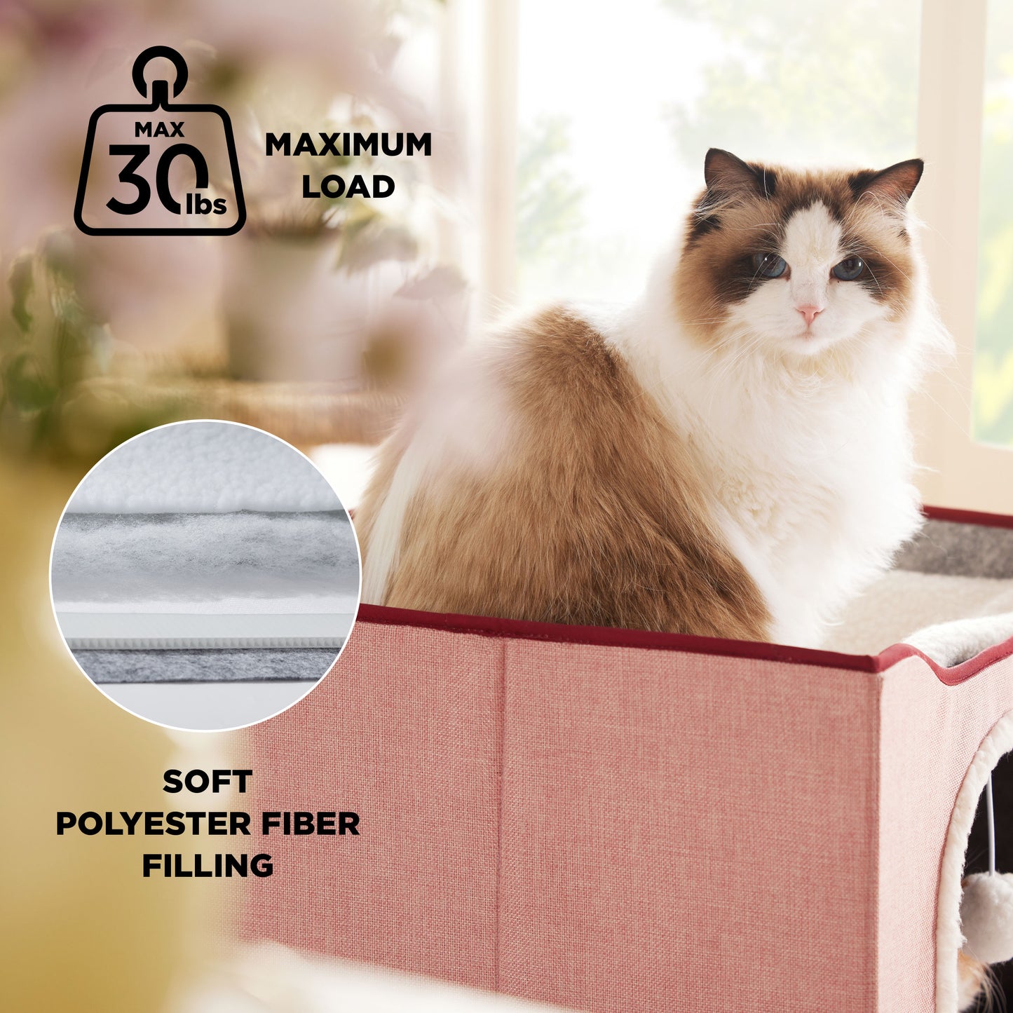 Cat Beds for Indoor Pet Cat House