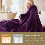 Bedsure Sherpa Throw Blanket For Couch