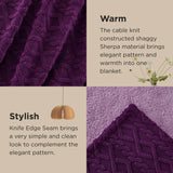 Bedsure Sherpa Throw Blanket For Couch
