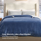 HeatX Heated Blanket