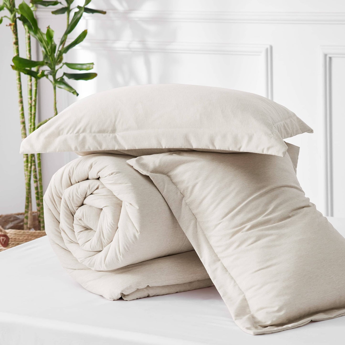 GentleSoft Cationic Dye Comforter Set