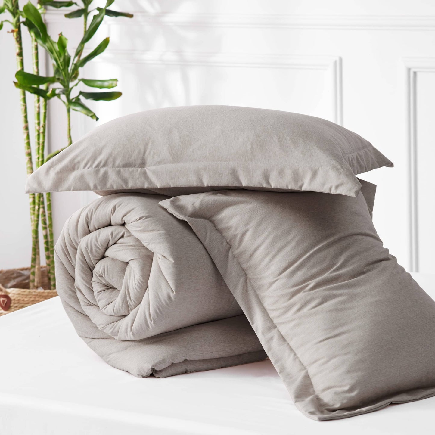 GentleSoft Cationic Dye Comforter Set