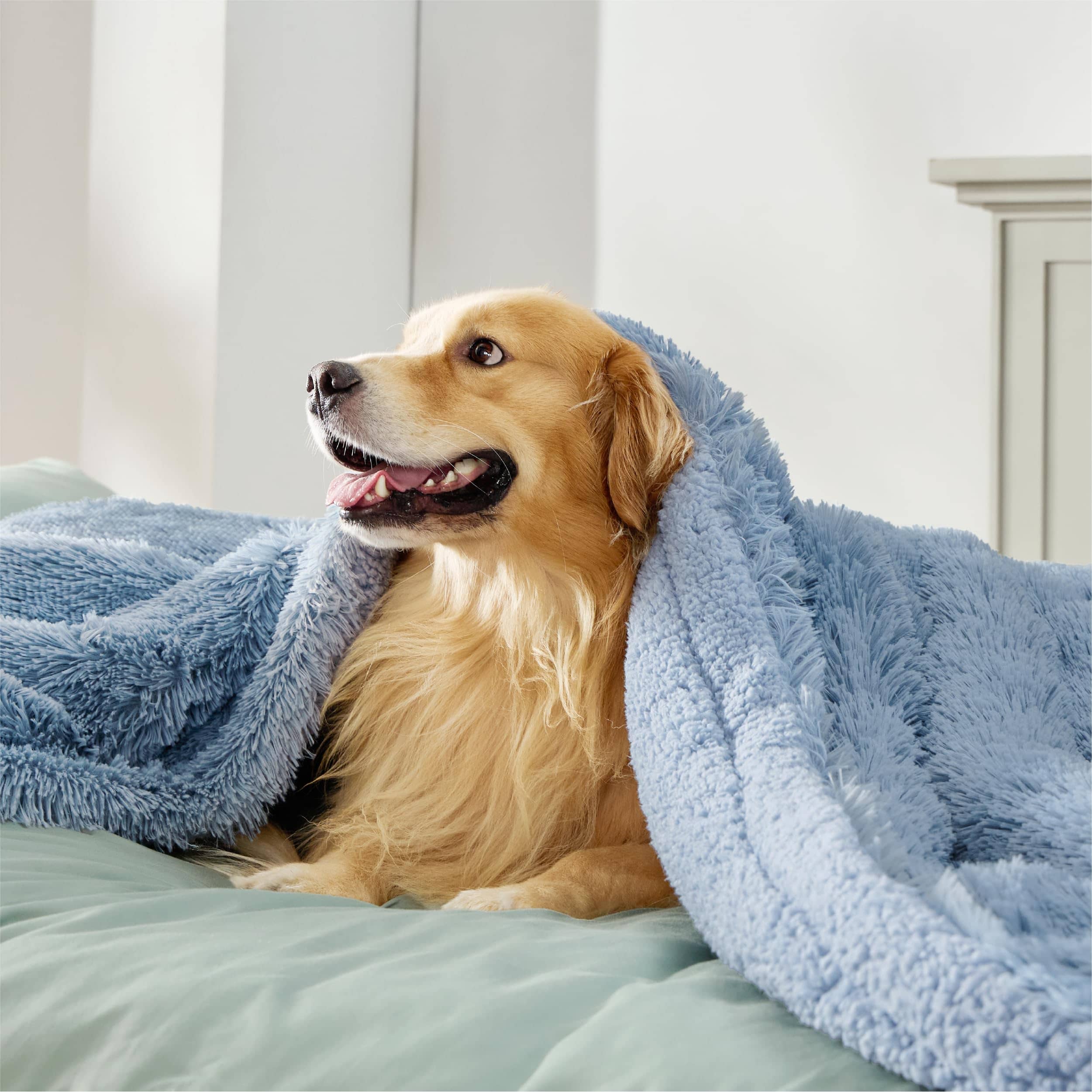 Waterproof Pet Blankets