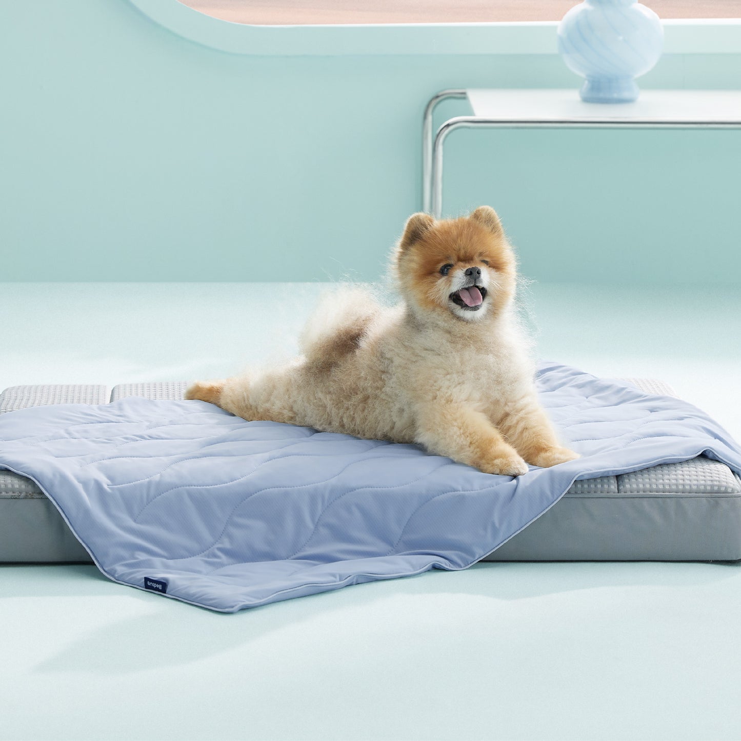Textured Pet Cooling Blanket
