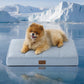 Orthopedic Cooling Dog Bed