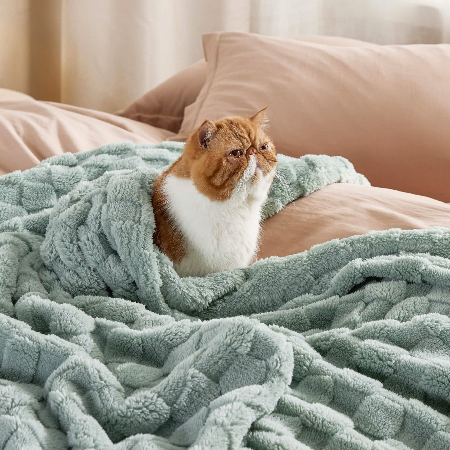 Jacquard Shaggy Sherpa Blanket