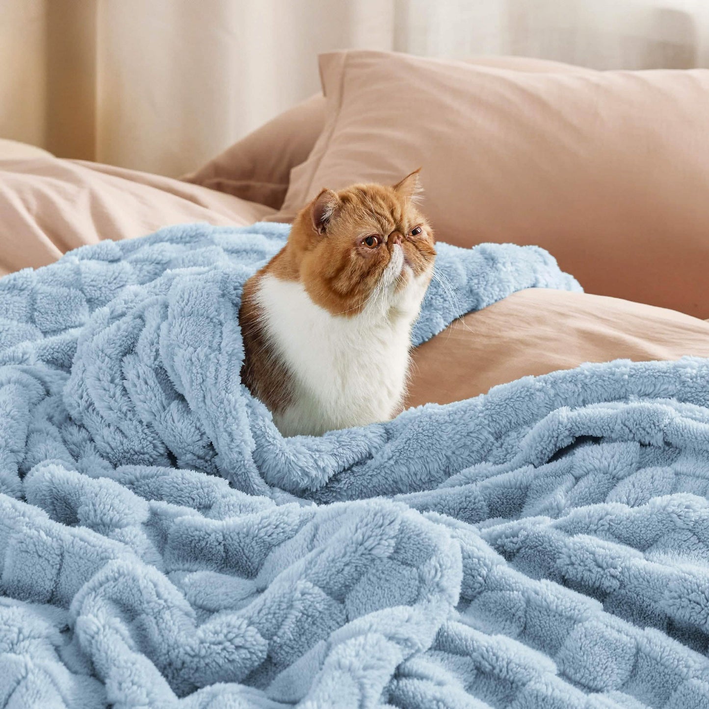 Jacquard Shaggy Sherpa Blanket