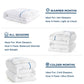 GentleSoft™ Goose Feather Down-20 Comforter