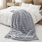 Plush Stripe Blanket