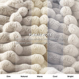 Plush Stripe Blanket