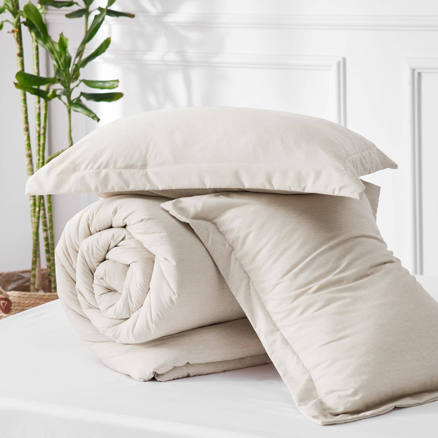 GentleSoft Cationic Dye Comforter Set