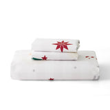 Bedsure Christmas Santa Duvet Cover Set