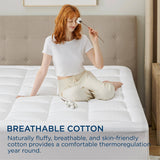 Quilted Cotton Mattress Pad