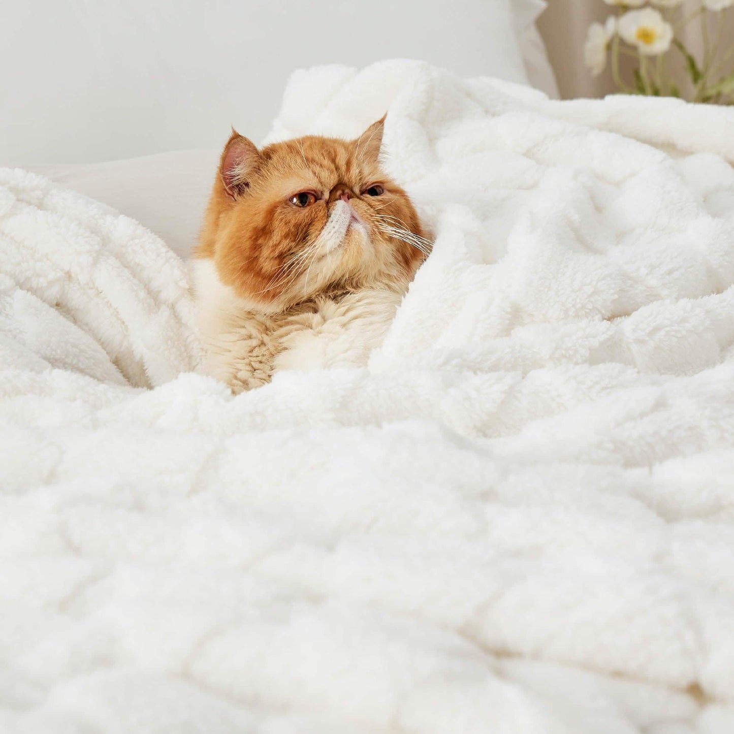 Jacquard Shaggy Sherpa Blanket
