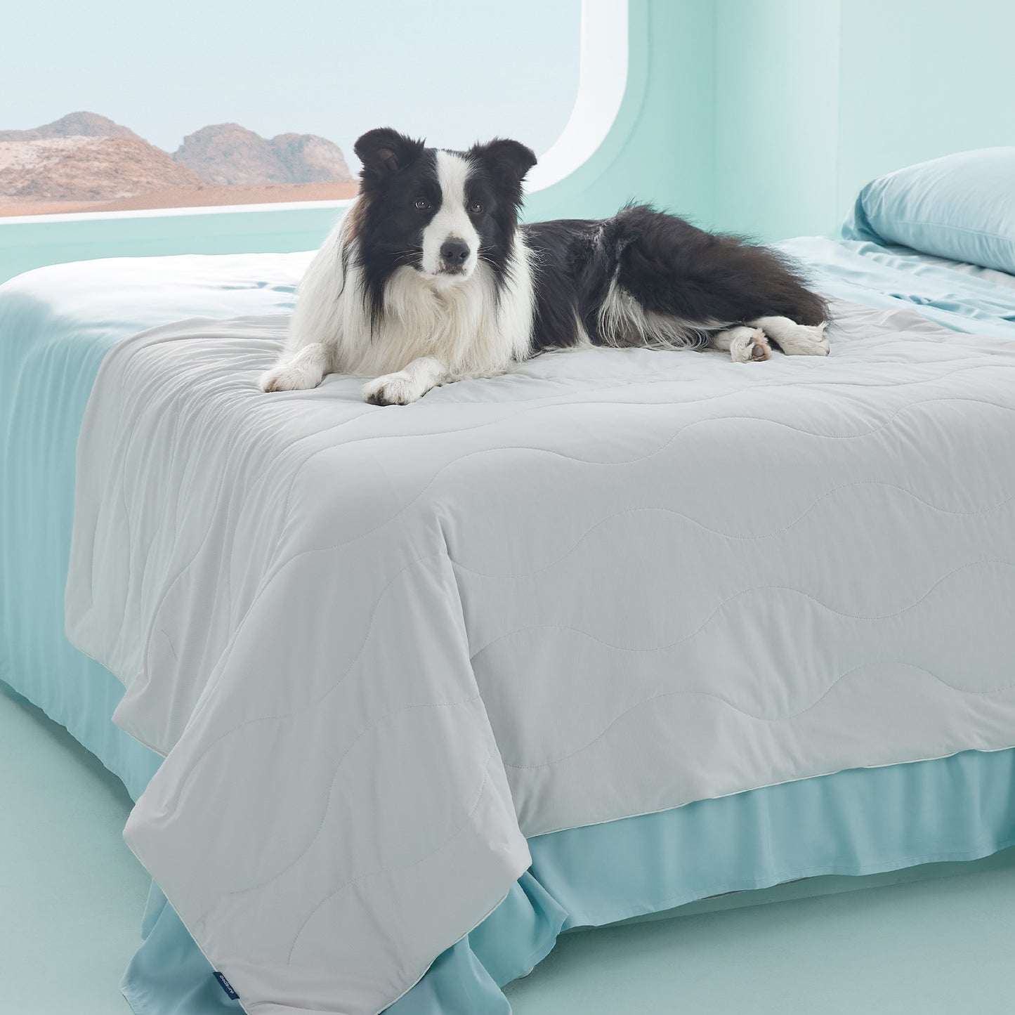 Textured Pet Cooling Blanket
