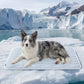 Wave Cooling Dog Mat