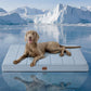 Orthopedic Cooling Dog Bed