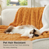 Bedsure Sherpa Throw Blanket For Couch
