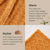 Bedsure Sherpa Throw Blanket For Couch
