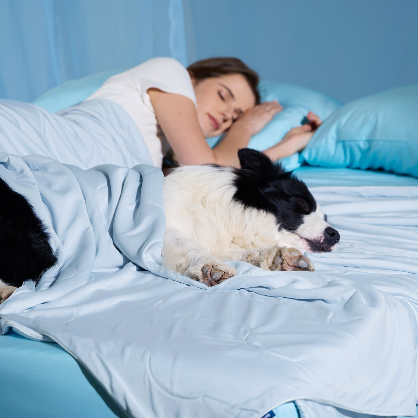 Cooling & Breathable Lightweight Pet Blanket