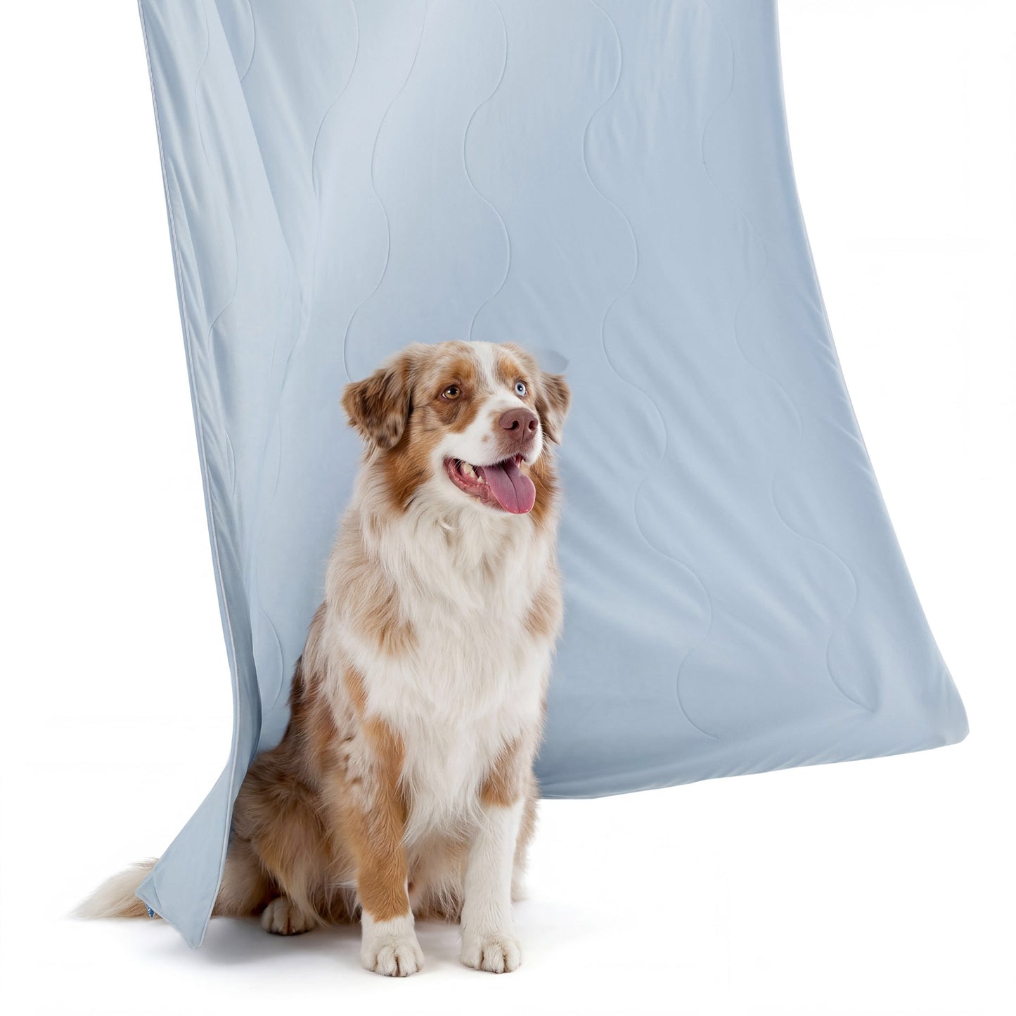 Cooling & Breathable Lightweight Pet Blanket