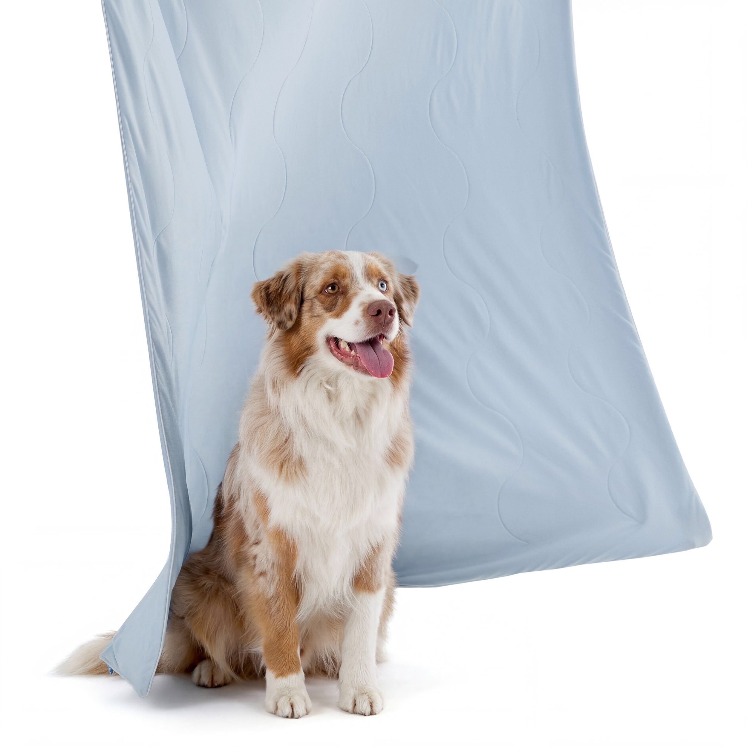 Cooling & Breathable Lightweight Pet Blanket