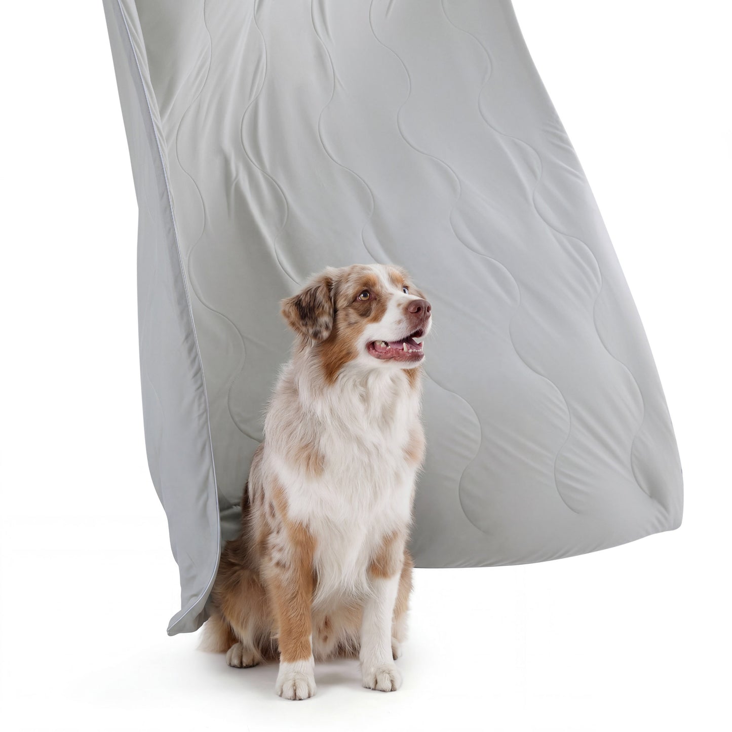Cooling & Breathable Lightweight Pet Blanket