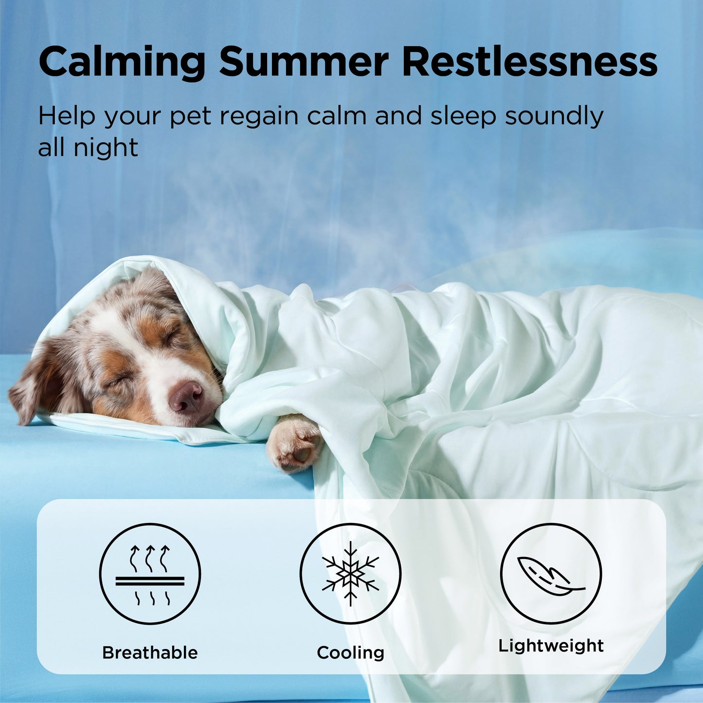 Cooling & Breathable Lightweight Pet Blanket