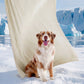 Cooling & Breathable Lightweight Pet Blanket