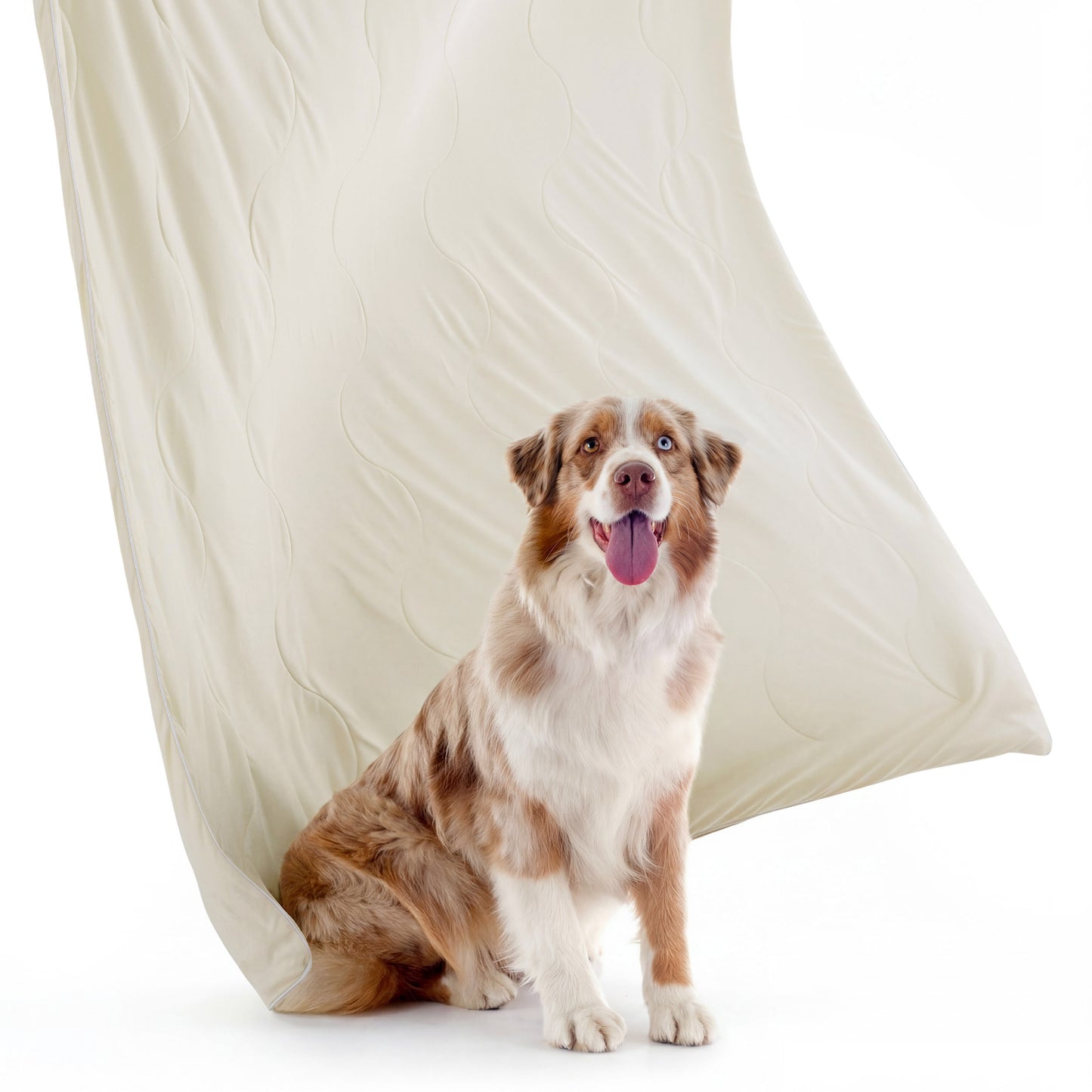 Cooling & Breathable Lightweight Pet Blanket