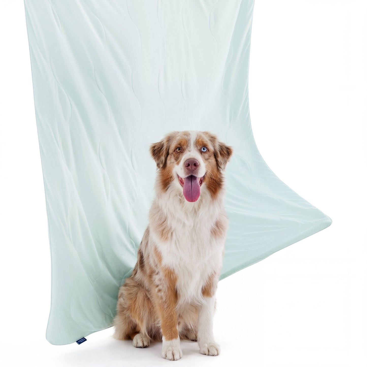 Cooling & Breathable Lightweight Pet Blanket