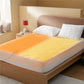 Coral Fleece Heated Mattress Pad