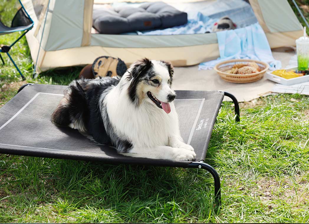 Bedsure Official site Cozy and Affordable Home Linens Bedsurehome