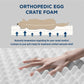 Large Orthopedic Washable Dog Bed