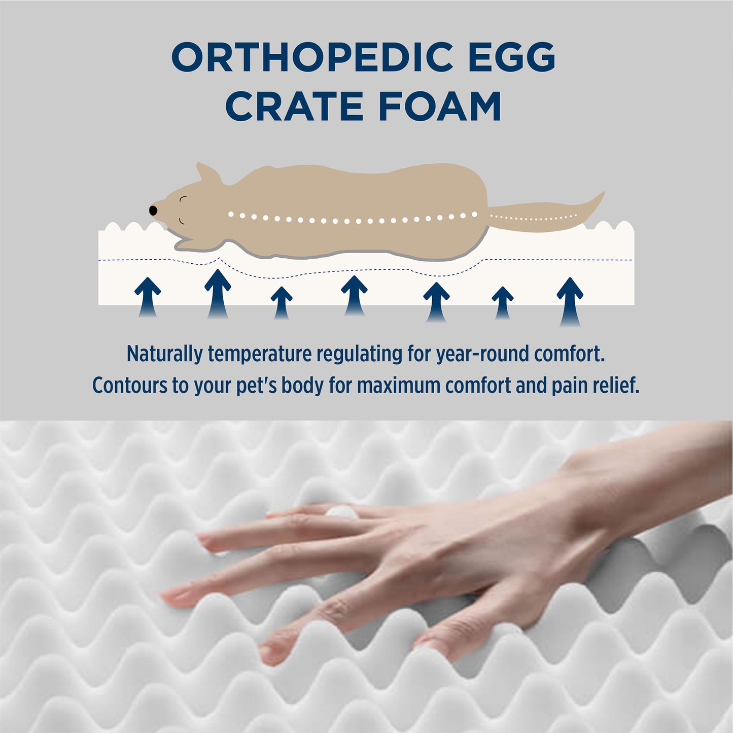 Large Orthopedic Washable Dog Bed