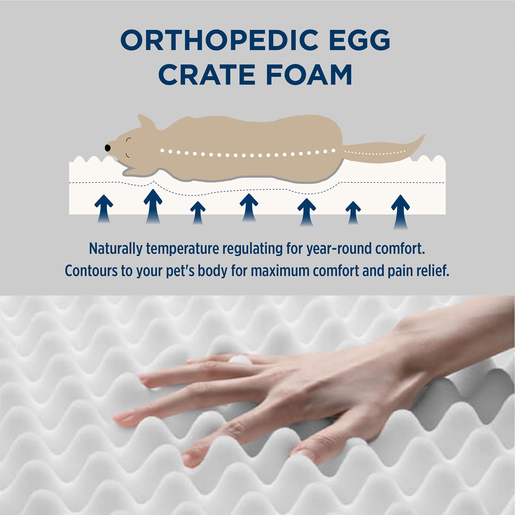 Large Orthopedic Washable Dog Bed